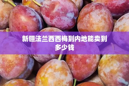 新疆法兰西西梅到内地能卖到多少钱