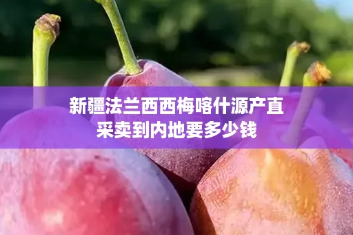 ﻿新疆法兰西西梅喀什源产直采卖到内地要多少钱