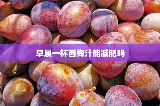 早晨一杯西梅汁能减肥吗