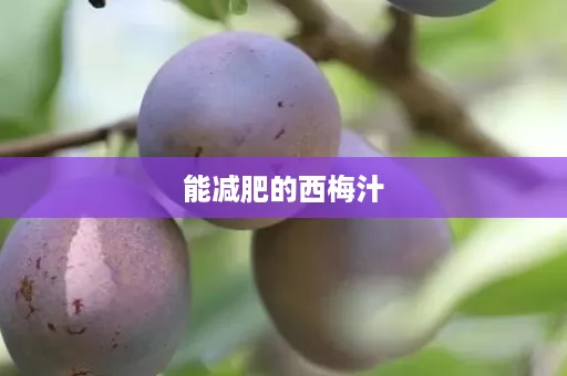 能减肥的西梅汁
