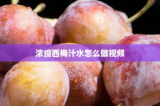 浓缩西梅汁水怎么做