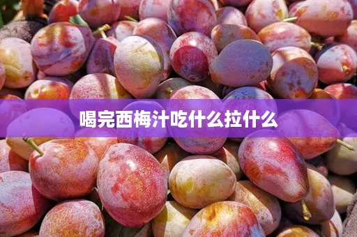 喝完西梅汁吃什么拉什么