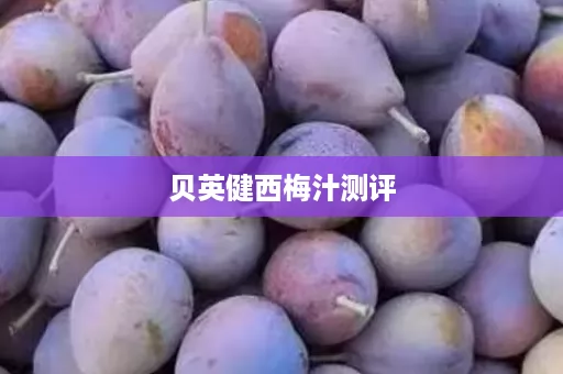 贝英健西梅汁测评