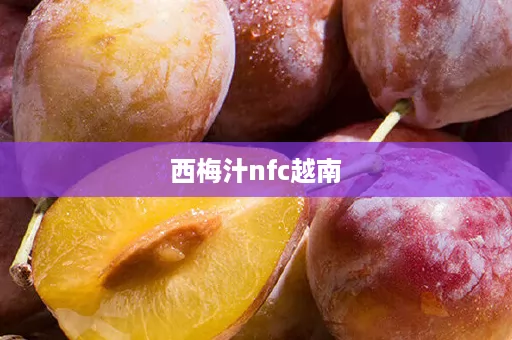 西梅汁nfc越南