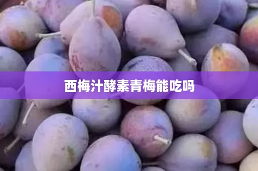 西梅汁酵素青梅能吃吗