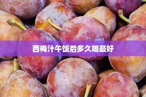 西梅汁午饭后多久喝最好
