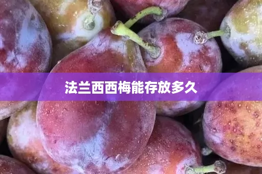 法兰西西梅能存放多久