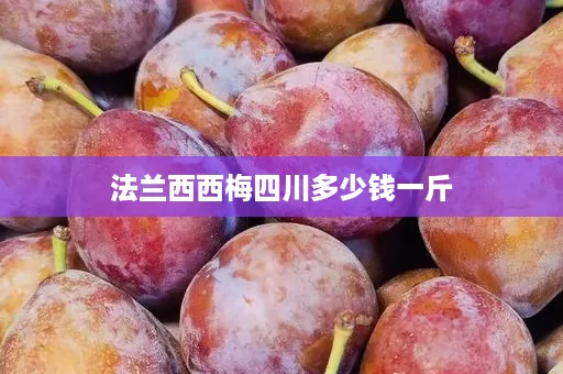 法兰西西梅四川多少钱一斤
