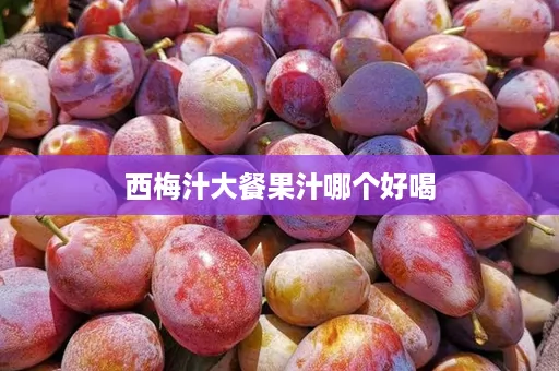 西梅汁大餐果汁哪个好喝