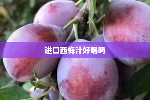 进口西梅汁好喝吗