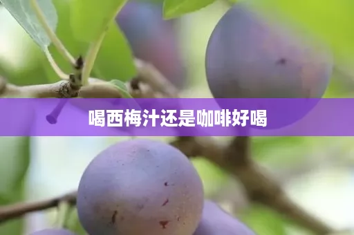 喝西梅汁还是咖啡好喝