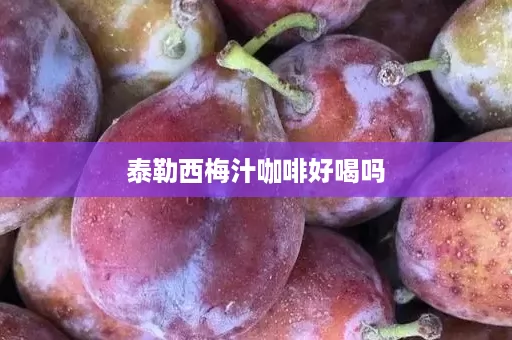 泰勒西梅汁咖啡好喝吗