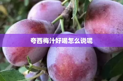 夸西梅汁好喝怎么说呢