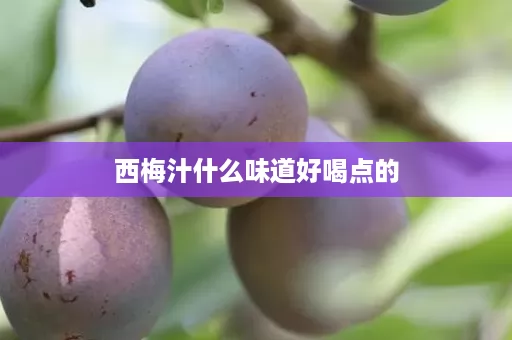 西梅汁什么味道好喝点的