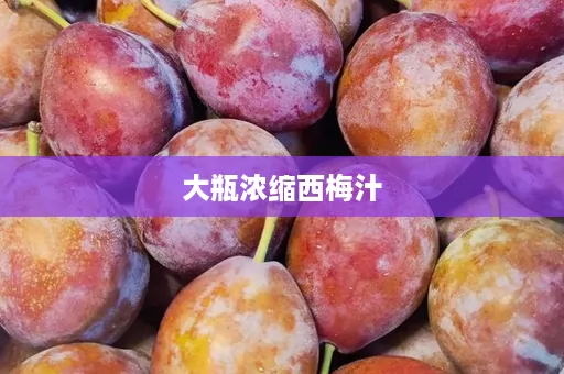 大瓶浓缩西梅汁