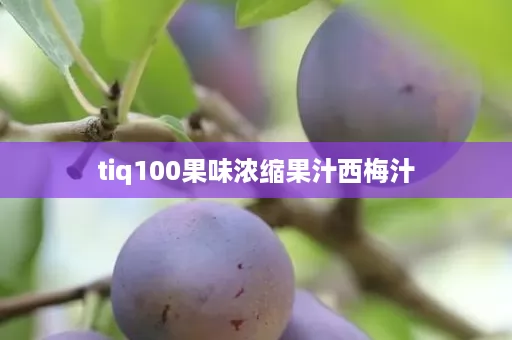 tiq100果味浓缩果汁西梅汁