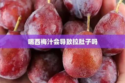 喝西梅汁会导致拉肚子吗