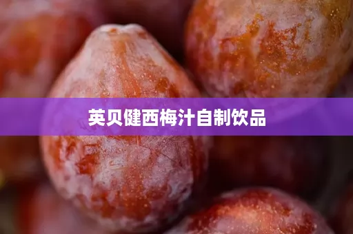 英贝健西梅汁自制饮品