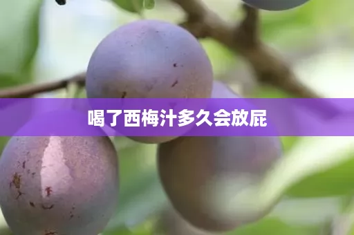 喝了西梅汁多久会放屁