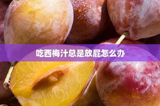 吃西梅汁总是放屁怎么办