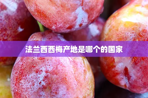 法兰西西梅产地是哪个的国家