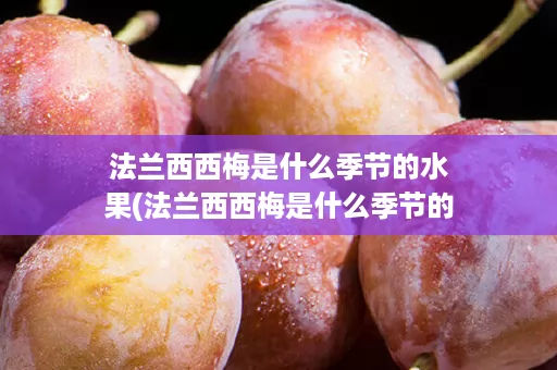 法兰西西梅是什么季节的水果(法兰西西梅是什么季节的水果图片)