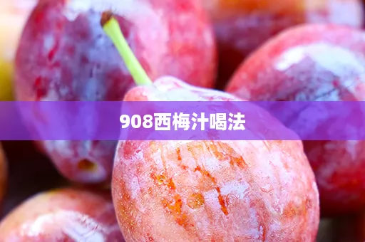 908西梅汁喝法