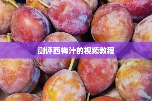 测评西梅汁的视频教程