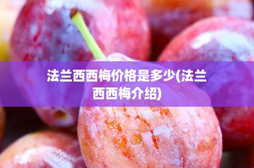 法兰西西梅价格是多少(法兰西西梅介绍)