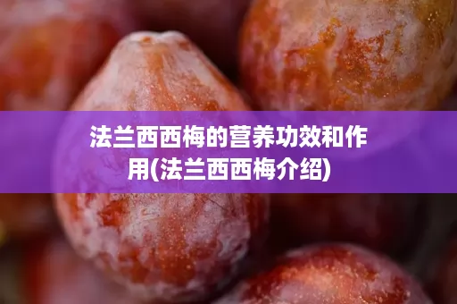 法兰西西梅的营养功效和作用(法兰西西梅介绍)