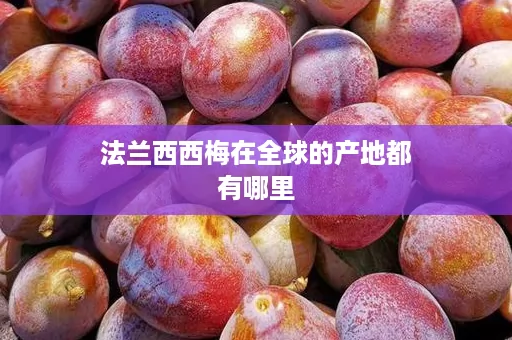 法兰西西梅在全球的产地都有哪里