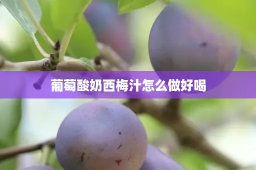 葡萄酸奶西梅汁怎么做好喝