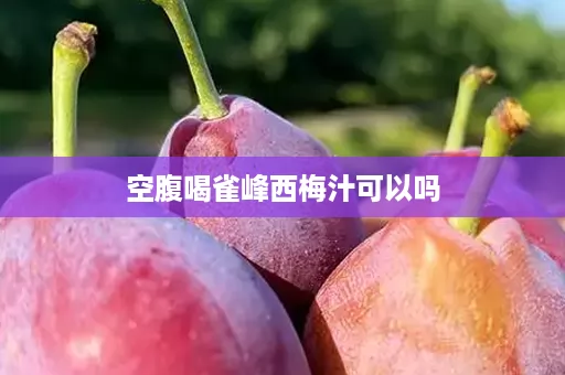 空腹喝雀峰西梅汁可以吗