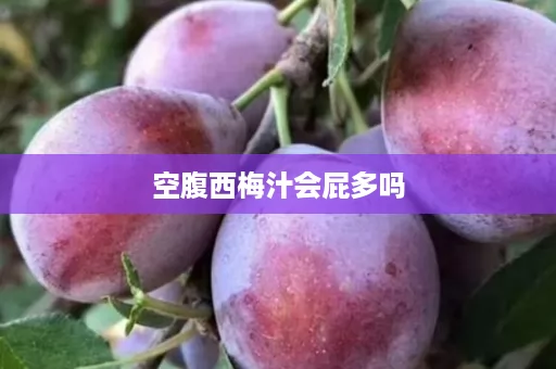 空腹西梅汁会屁多吗