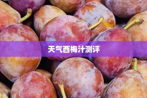 天气西梅汁测评