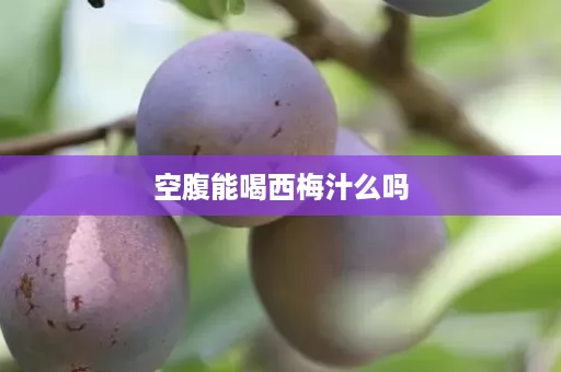 空腹能喝西梅汁么吗