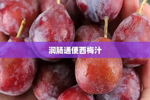 润肠通便西梅汁