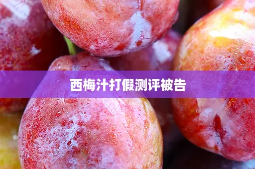 西梅汁打假测评被告