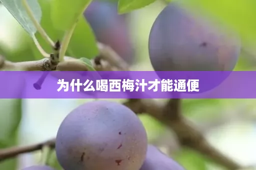 为什么喝西梅汁才能通便