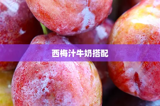 西梅汁牛奶搭配