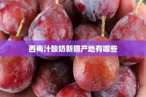 西梅汁酸奶新疆产地有哪些