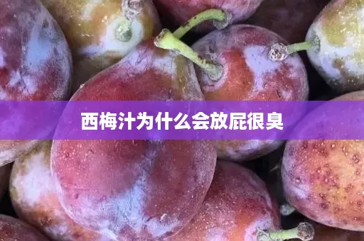 西梅汁为什么会放屁很臭