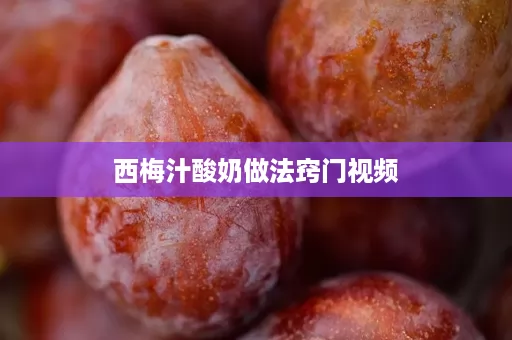 西梅汁酸奶做法窍门视频