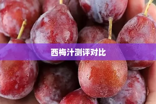 西梅汁测评对比