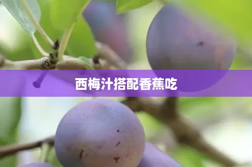 西梅汁搭配香蕉吃