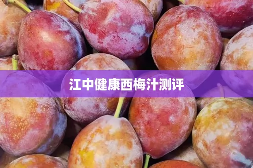 江中健康西梅汁测评