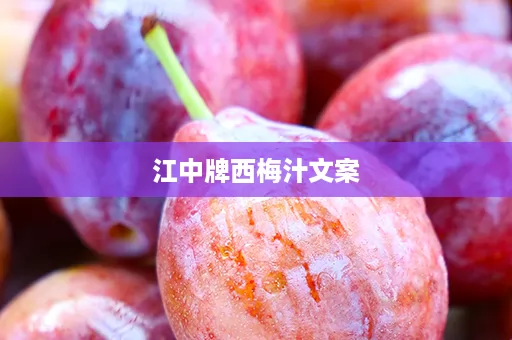 江中牌西梅汁文案
