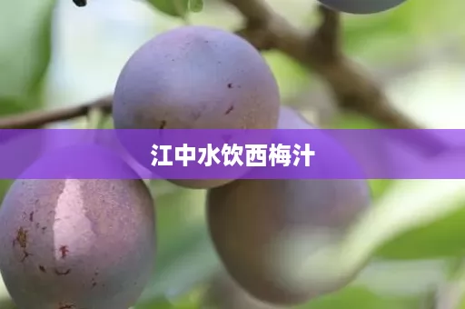 江中水饮西梅汁