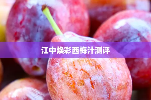 江中焕彩西梅汁测评
