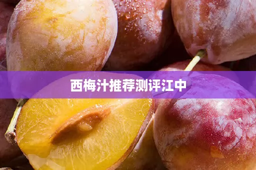 西梅汁推荐测评江中